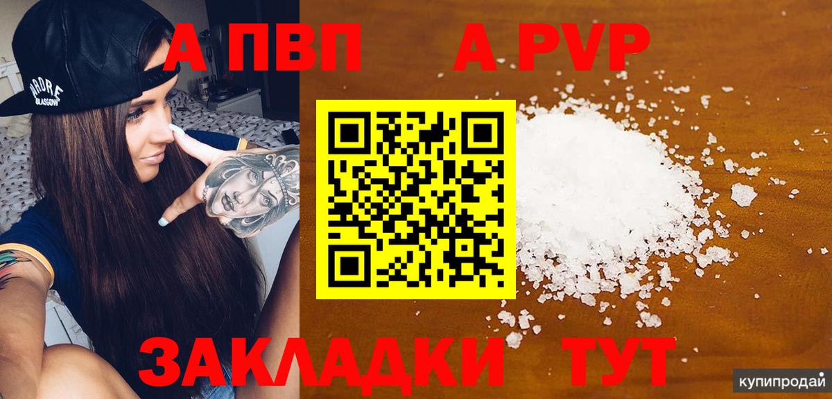 Alfa_PVP СК КРИС Сосновый Бор