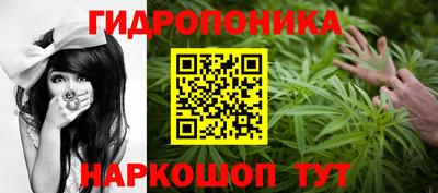 прущие крисы Новодвинск