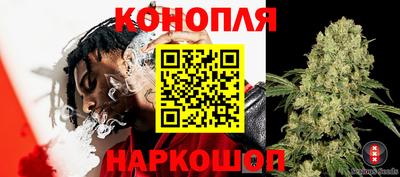 ешки Новокубанск